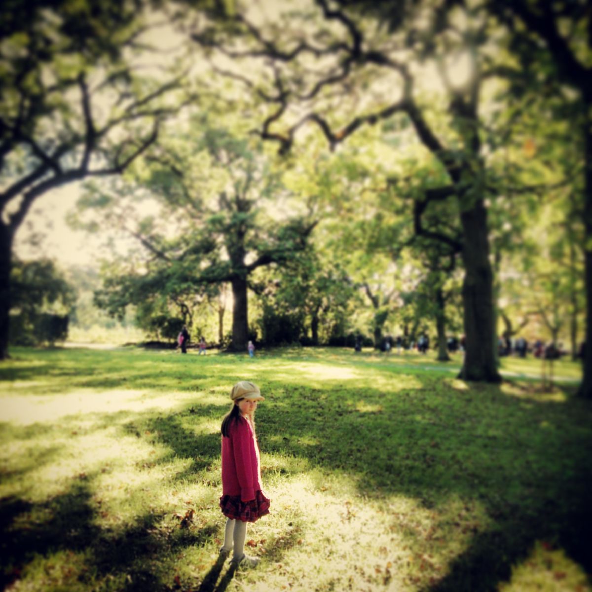 Enjoying a deliciously balmy October afternoon with my daughter in the Botanic Gardens, Dublin. 