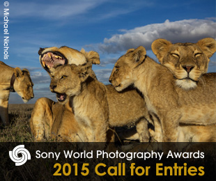 310 px x 260 px [Michael Nichols].jpg