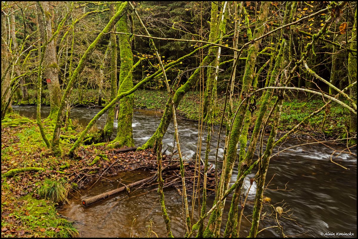 La Lienne