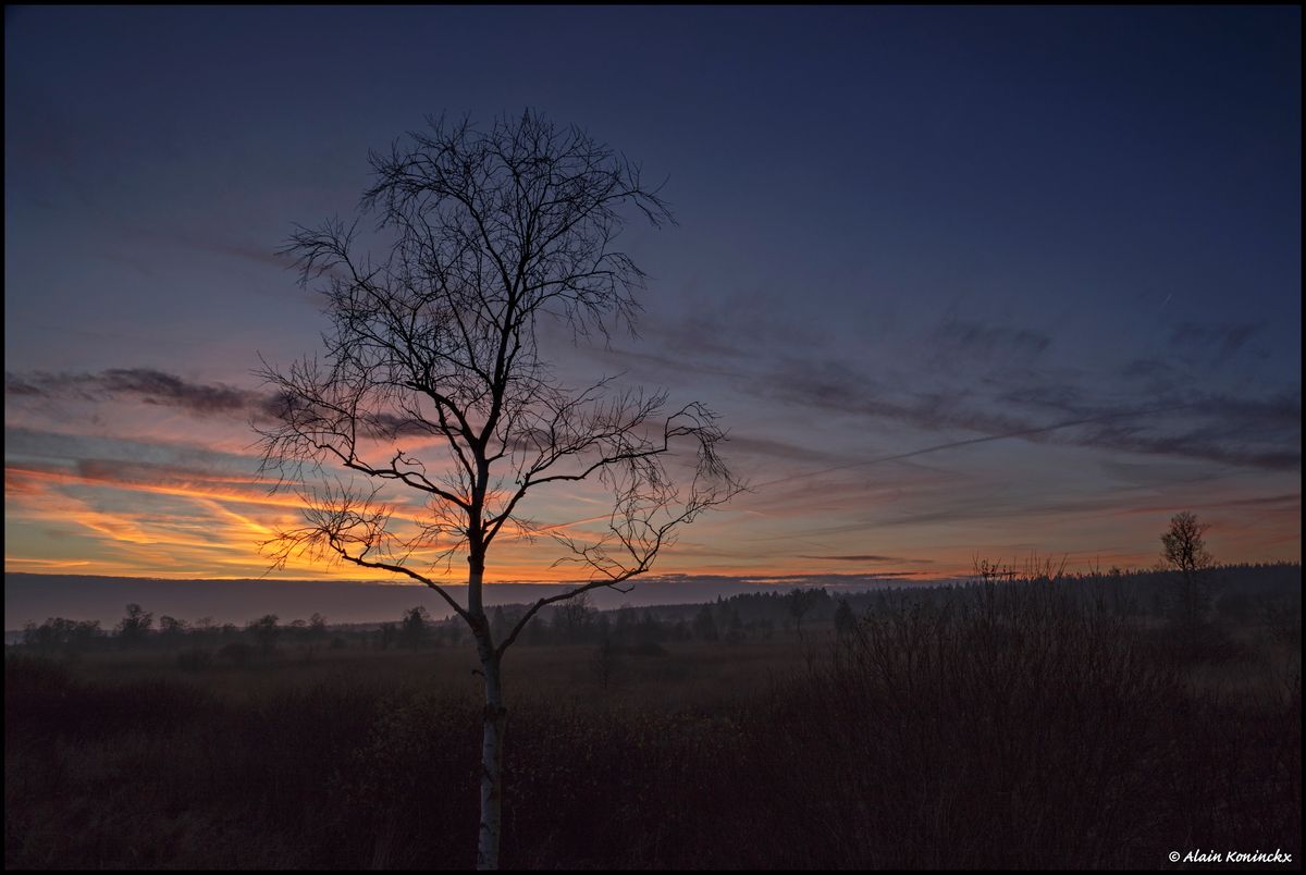 Crépuscule