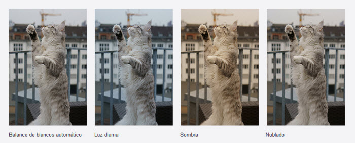 28-04-2015 09-56-17.jpg