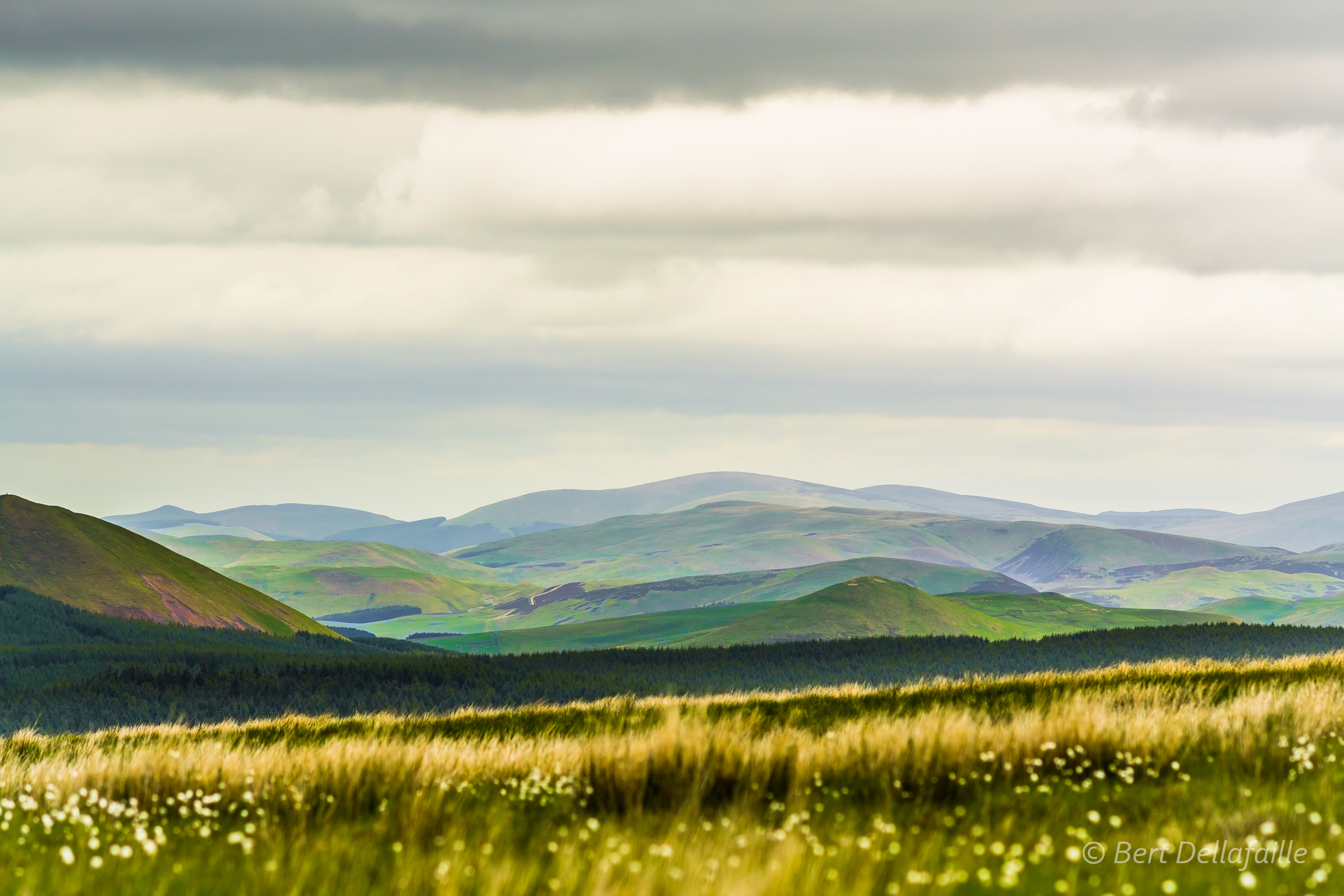 Border view