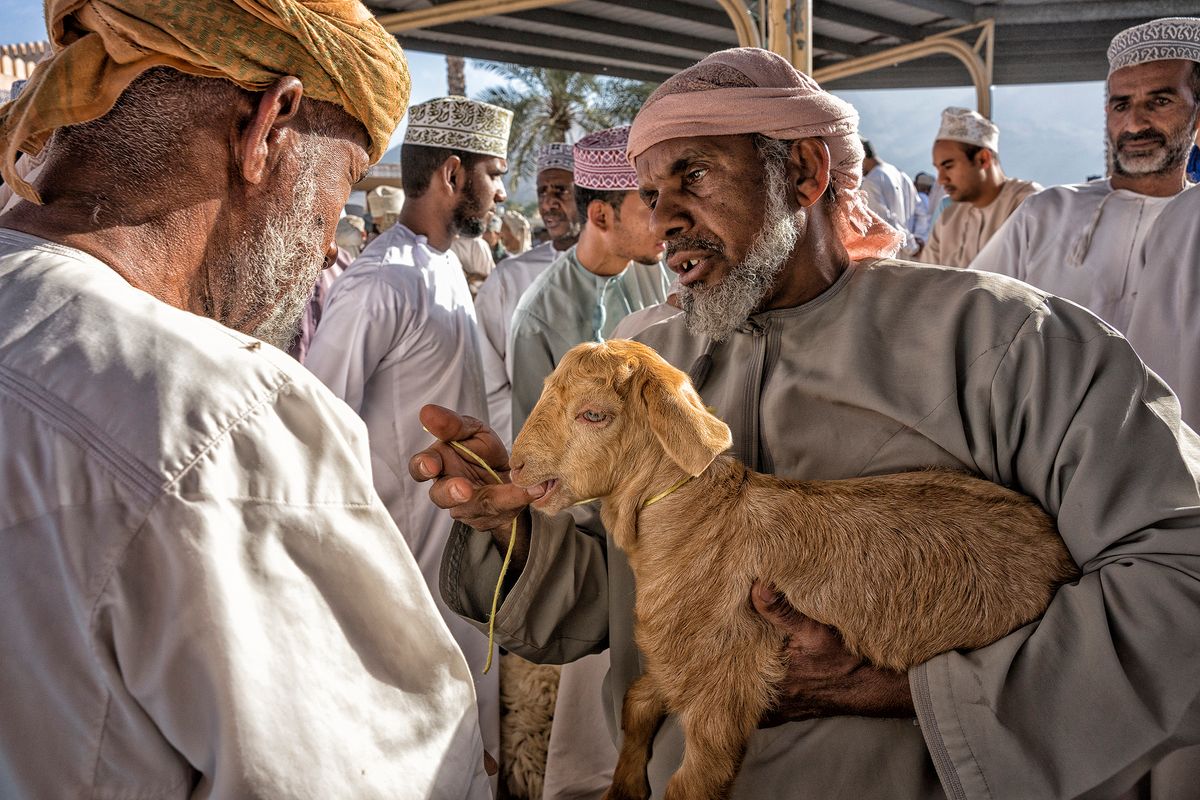 Viehmarkt in Oman