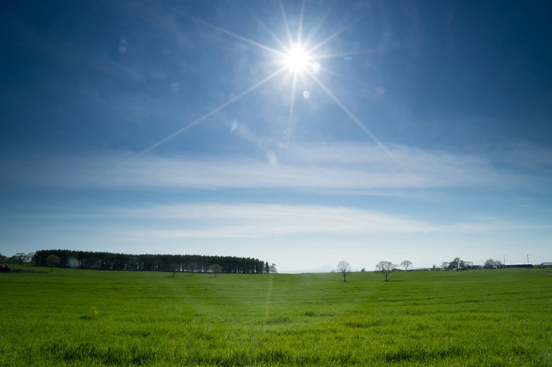 Field and dust spots_ND filter_med.jpg