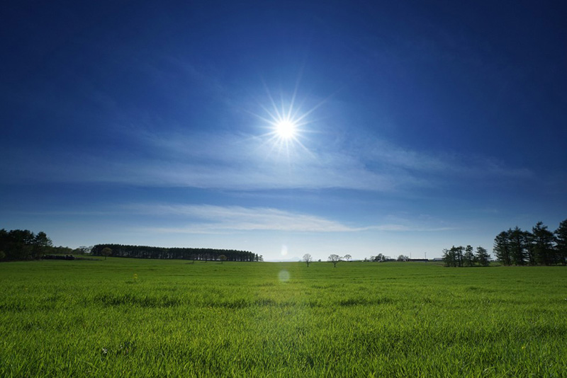 Sky HDR field and bright sun sample med.jpg