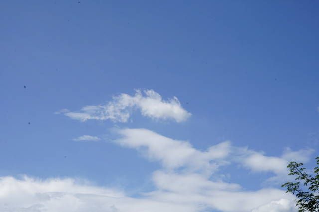 cuando abri la exposicion a F 36.0 observé lo sucio que está el sensor de imagen en mi nueva cámara sony.