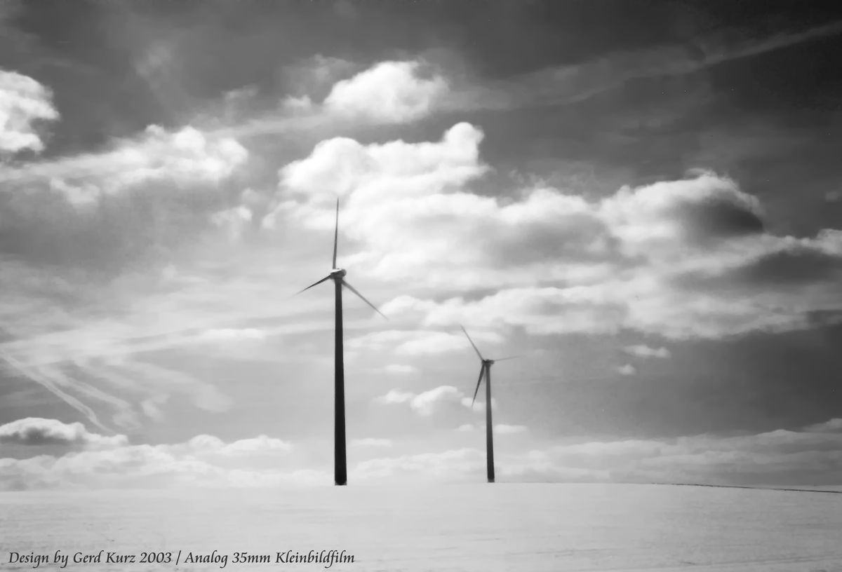 ...auf einer Bergkuppe bei Alsfeld / Hessen im Winter.