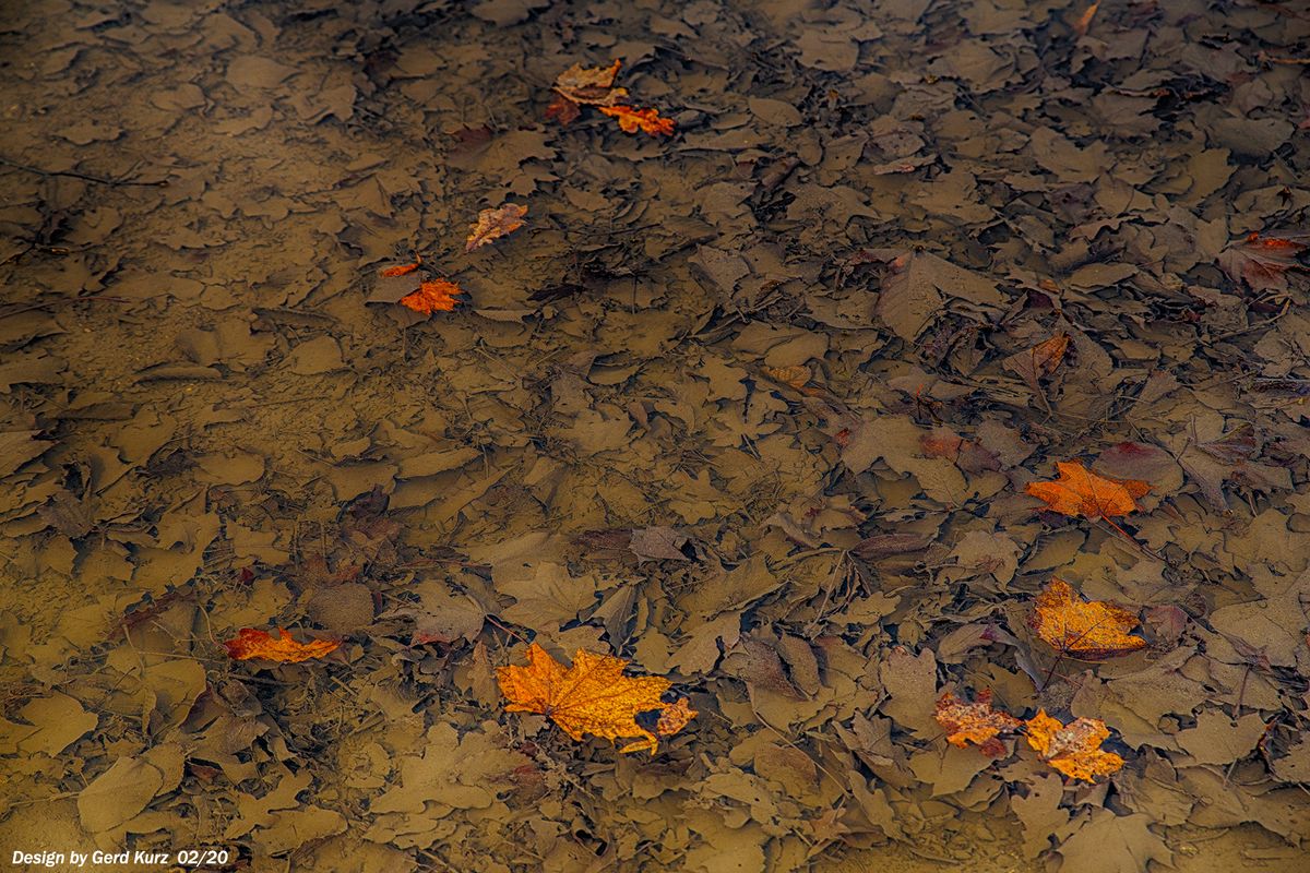 .. mal muss auch mal nach unten schauen..