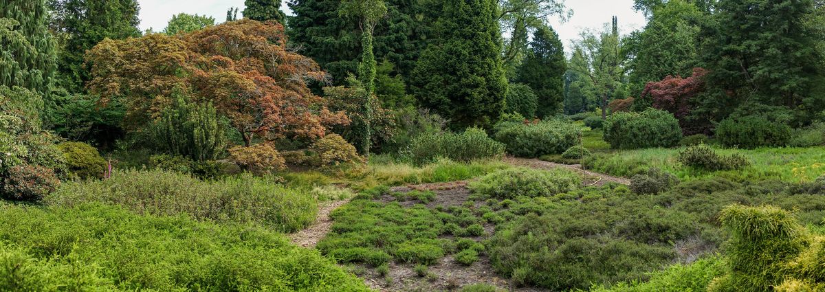 Tamron_28-200mm_Gimborn_Bomenmuseum_Doorn_NiSi_Landscape_CPL_Sony_A6300_-.jpg