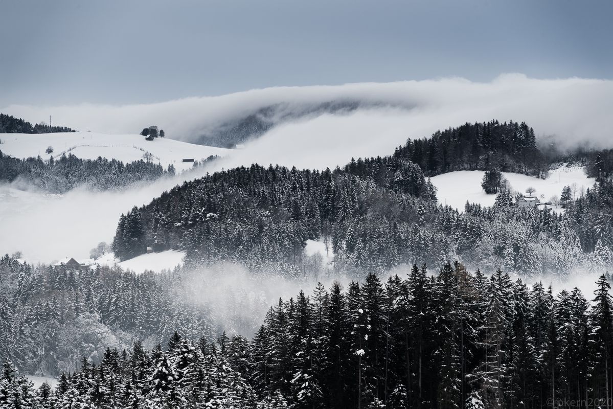 Der Nebel steigt auf von Bodensee her...