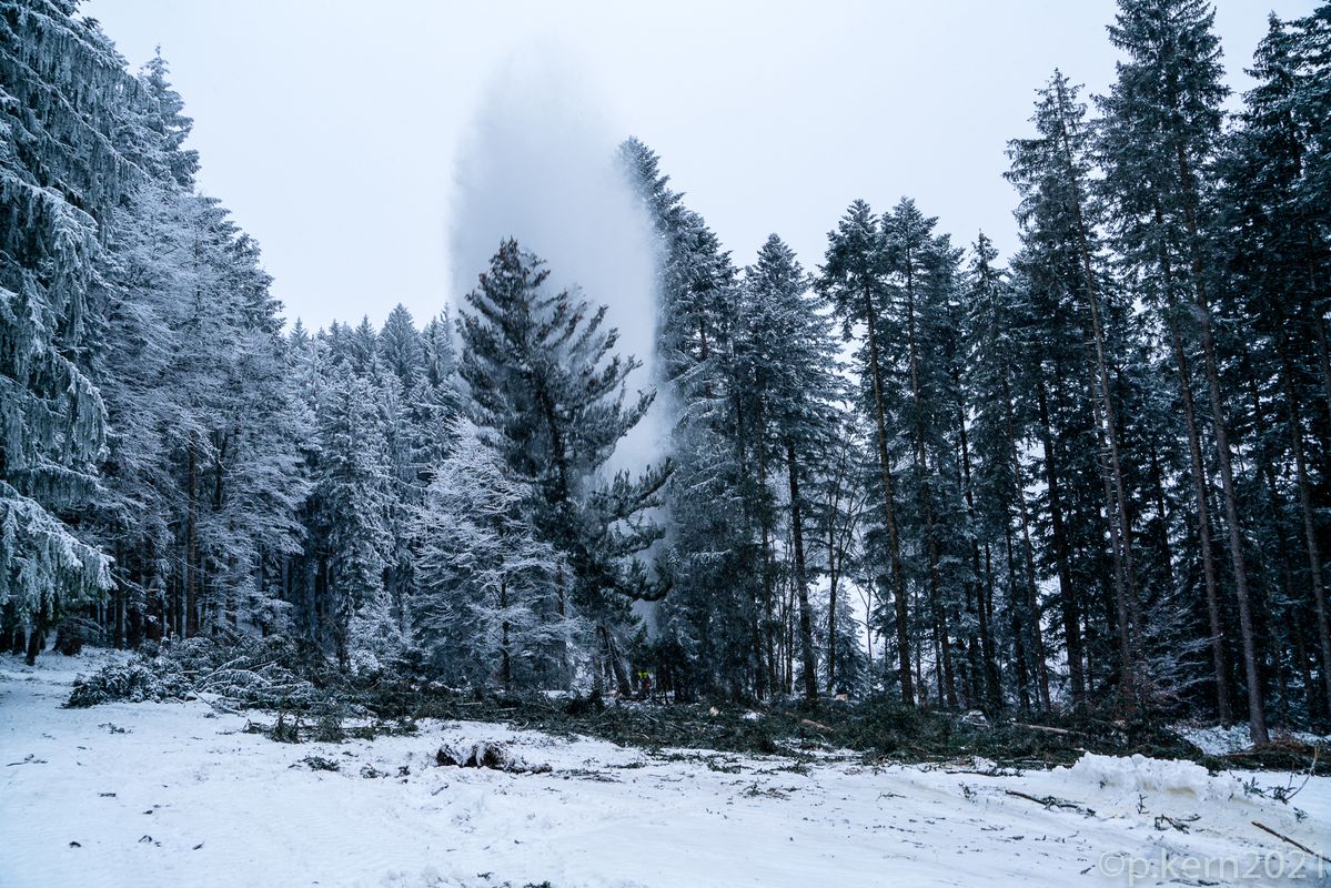 .... er muss fallen für andere...