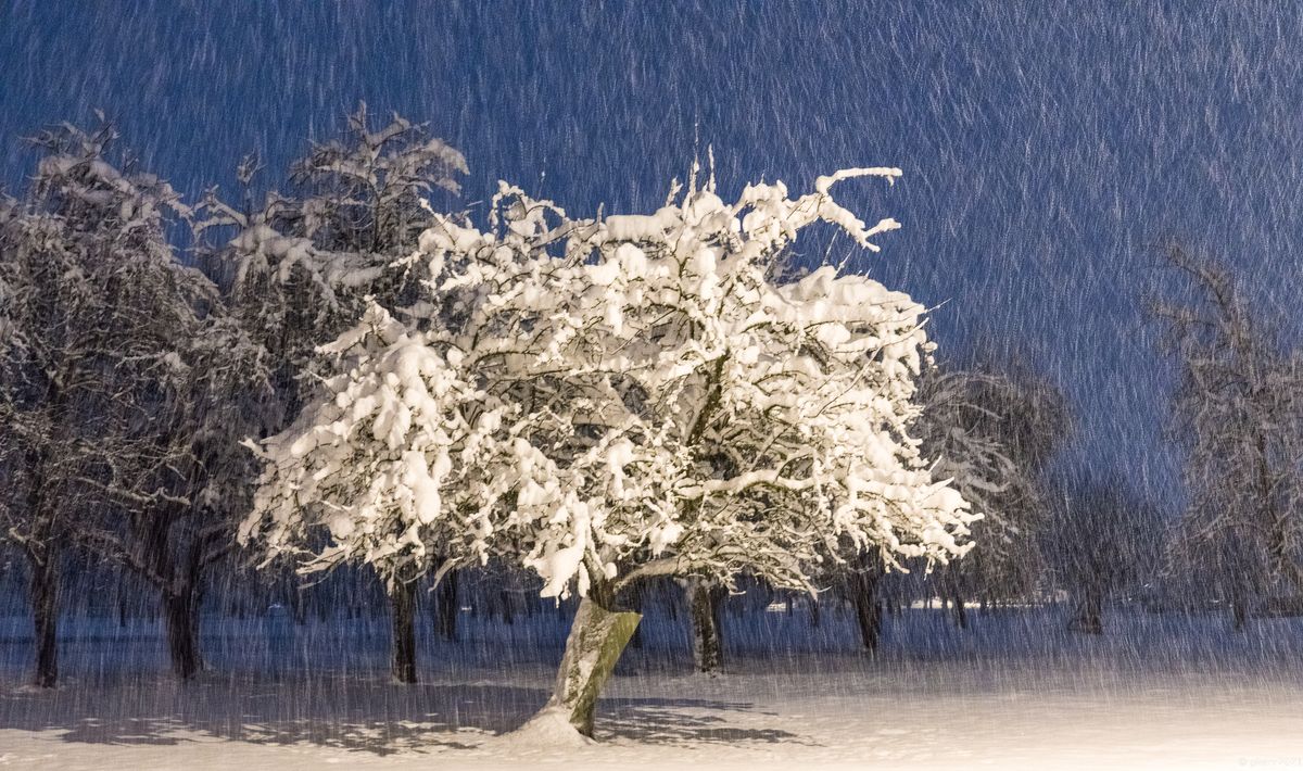 Danach musste ich die Kamera gründlich trocknen...
