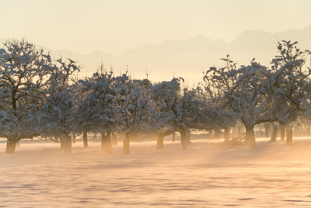 Auf die Gefahr hin euch mit Schneefotos zu langweilen, eins noch