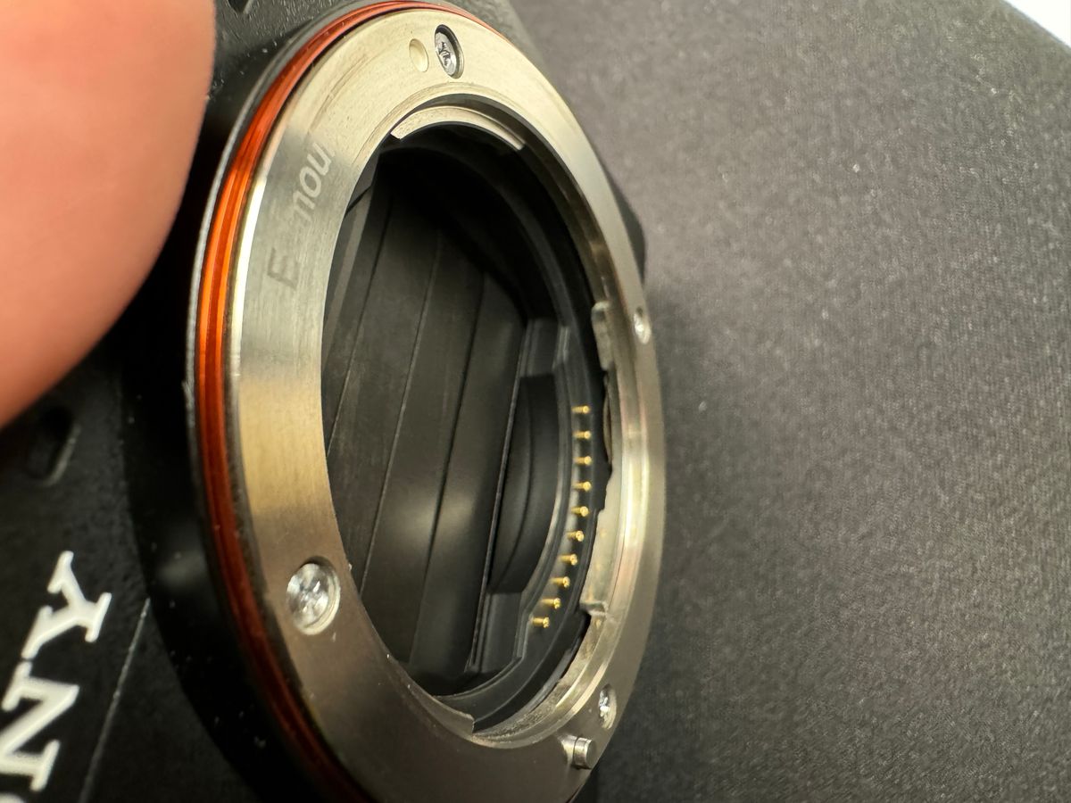 IMG_1235.jpeg IMG_1235.jpeg