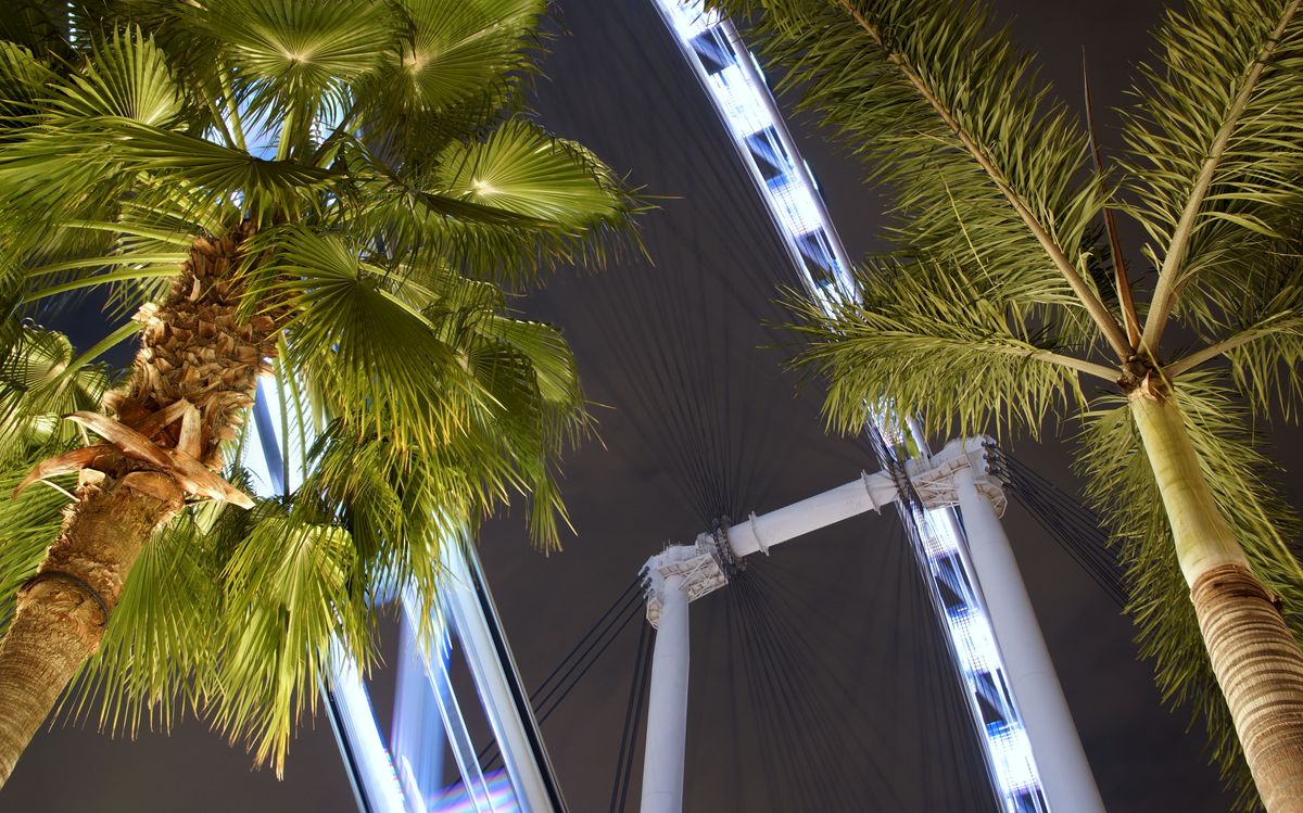 Singapore Flyer from below