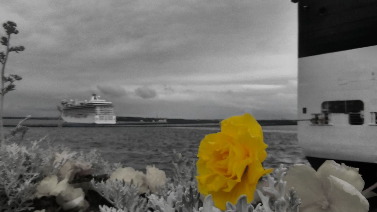 Passing cruise ships in cork harbour